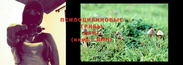 соль курить ск Алзамай